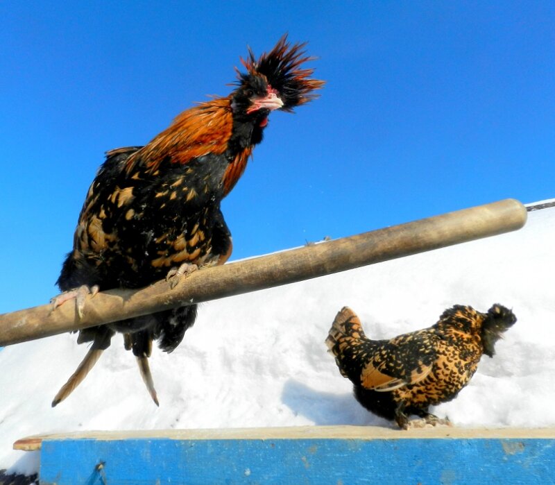 18 февраля 2013