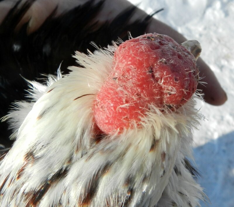 18 февраля 2013