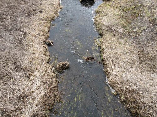 Ржача около моста