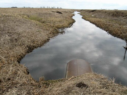 Ржача около моста