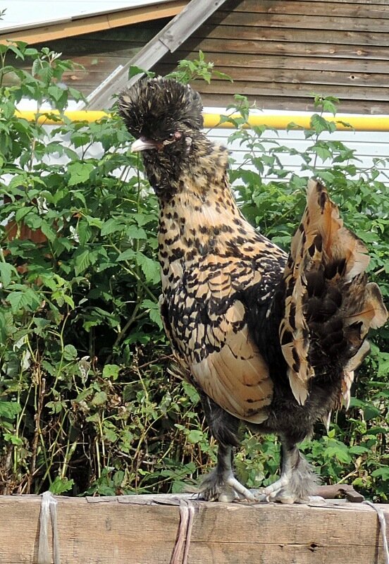 Сентябрь 2013