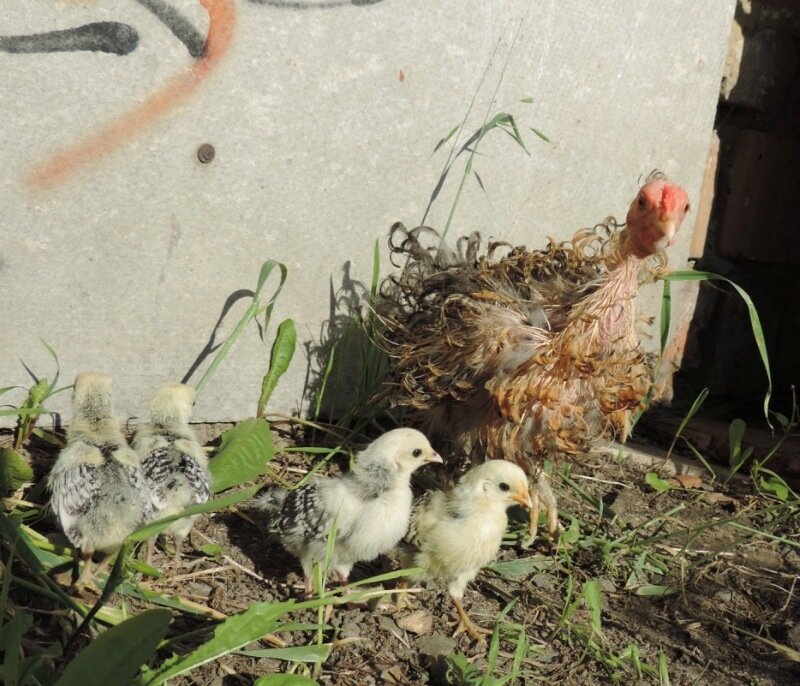 22 АВГУСТА 2013