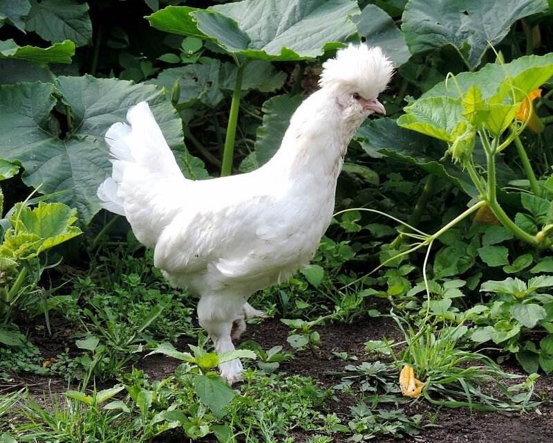 Сентябрь 2013