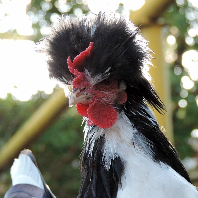 26 августа 2013