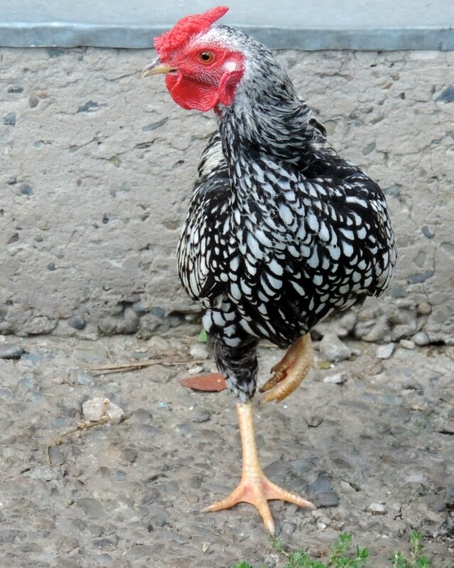 26 августа 2013