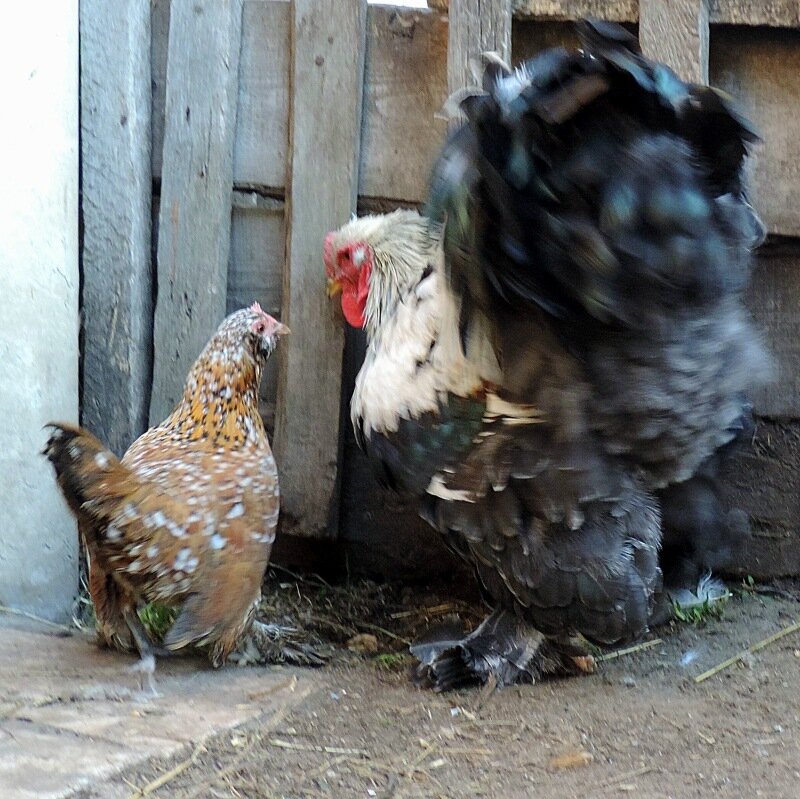 20 октября 2013