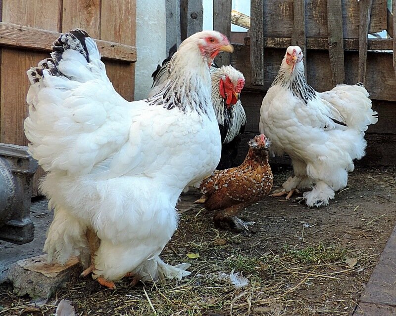 20 октября 2013