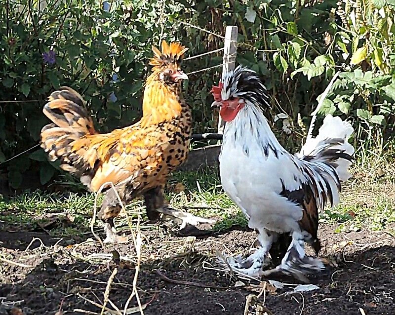 7 октября 2013