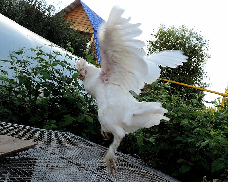 29 августа 2014