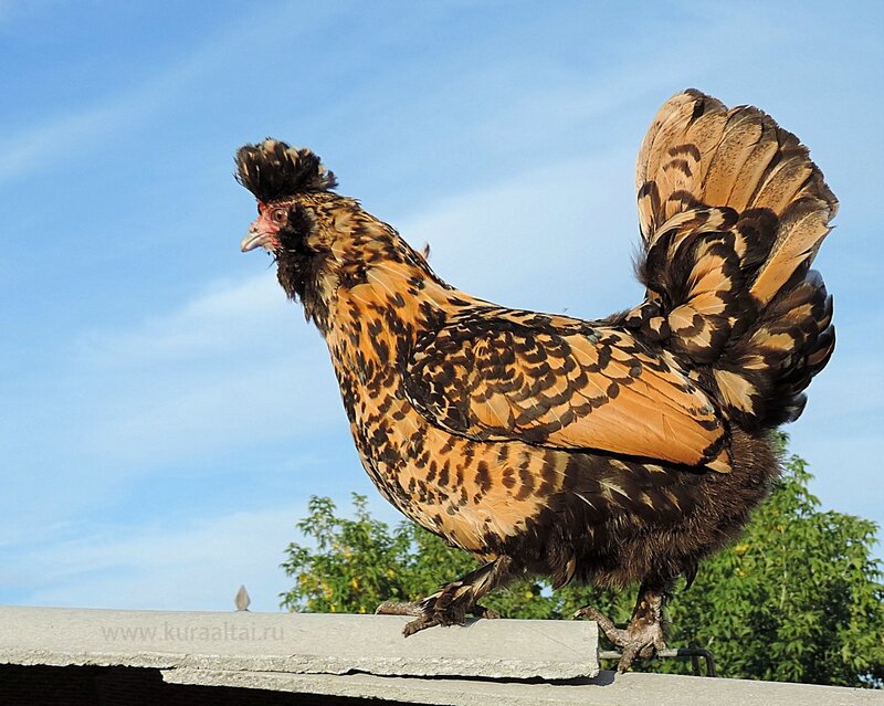 29 августа 2014