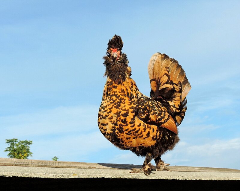 29 августа 2014