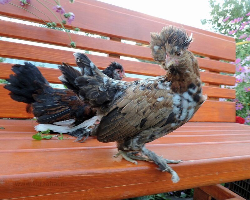 29 августа 2014