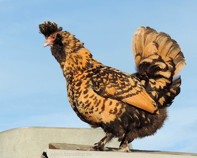 29 августа 2014