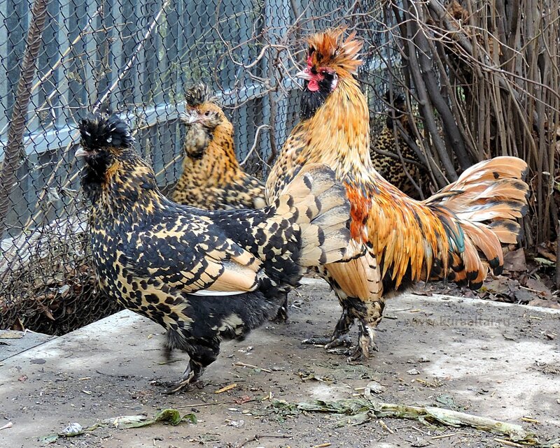 24 октября 2014