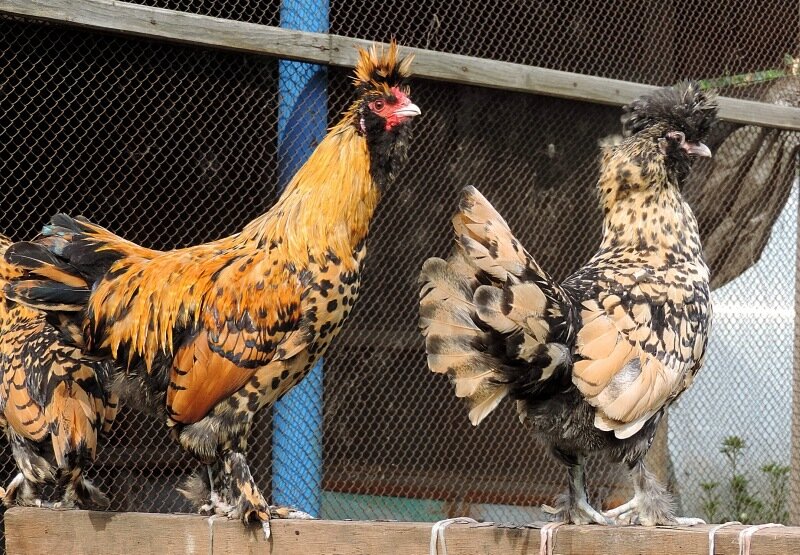 Сентябрь 2013