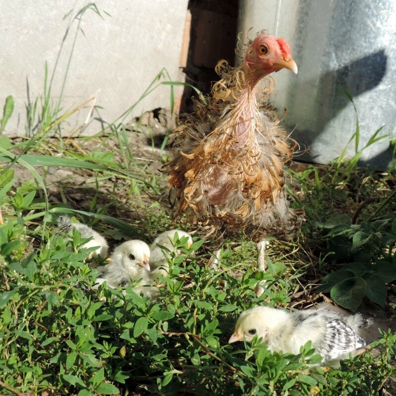 22 АВГУСТА 2013