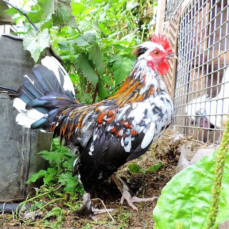 Сентябрь 2013