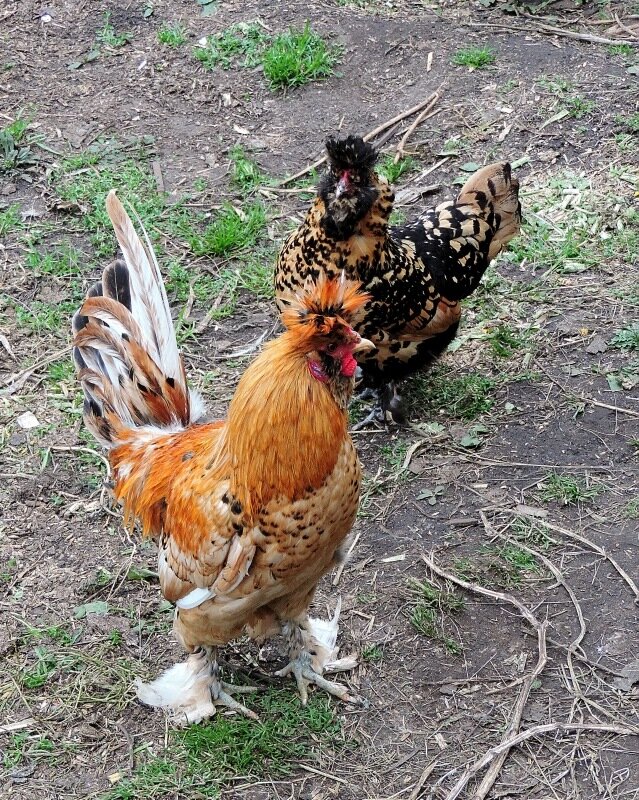 4 октября 2013