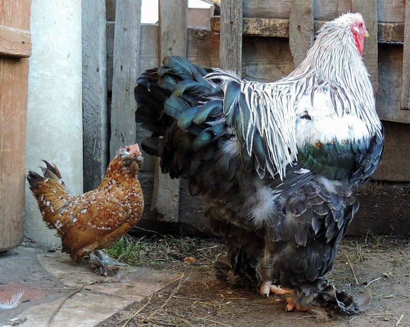 20 октября 2013