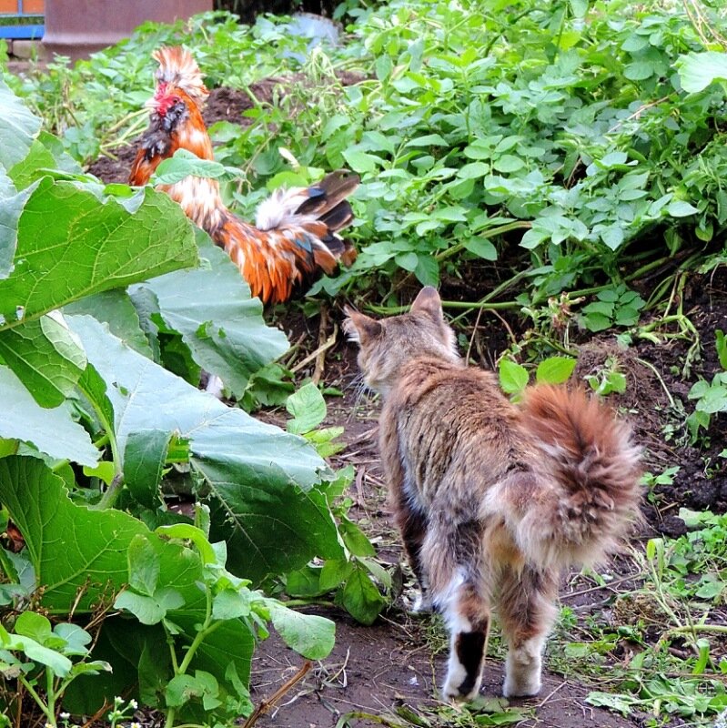 Сентябрь 2013