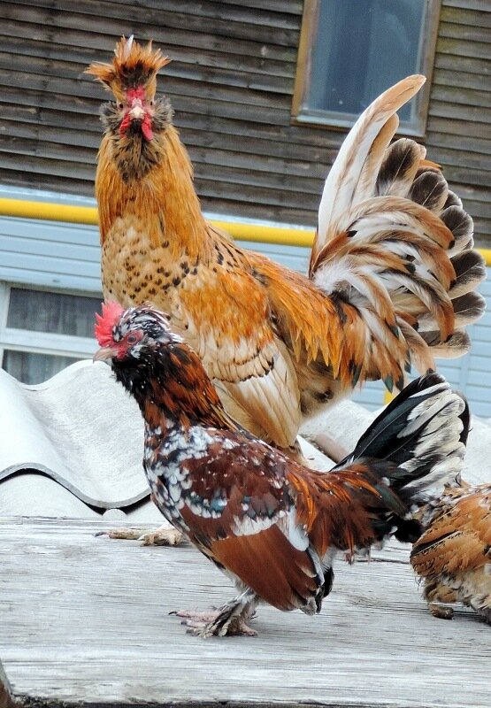 4 октября 2013