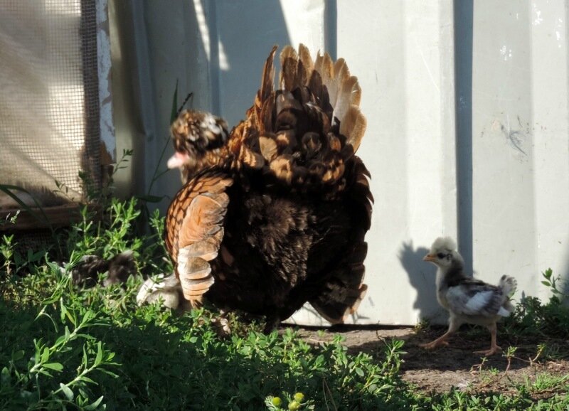 22 АВГУСТА 2013