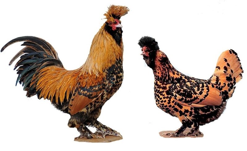 К стандарту 2014