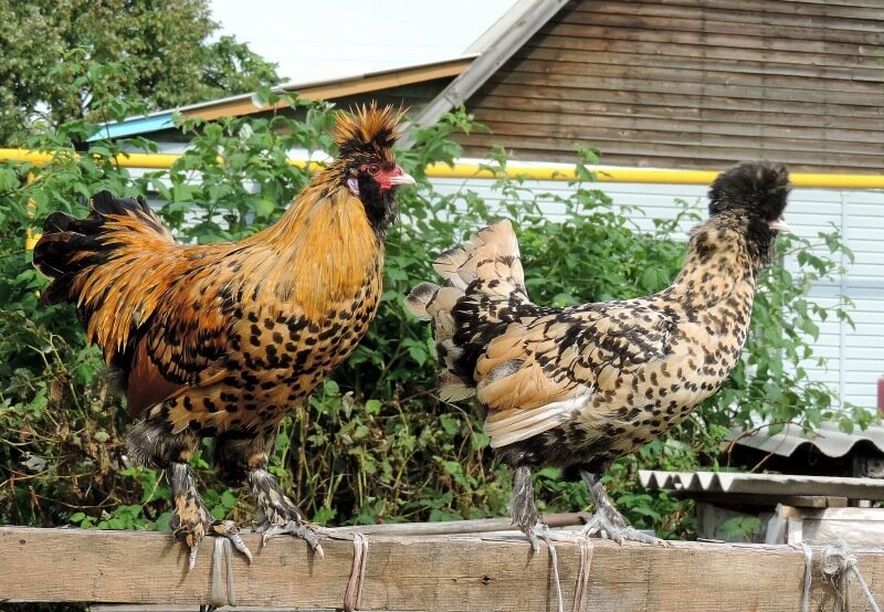 Сентябрь 2013