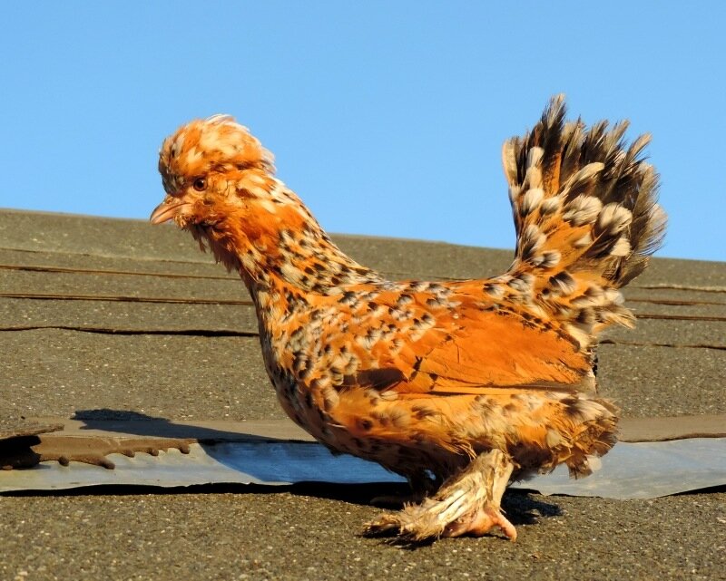 20 октября 2013