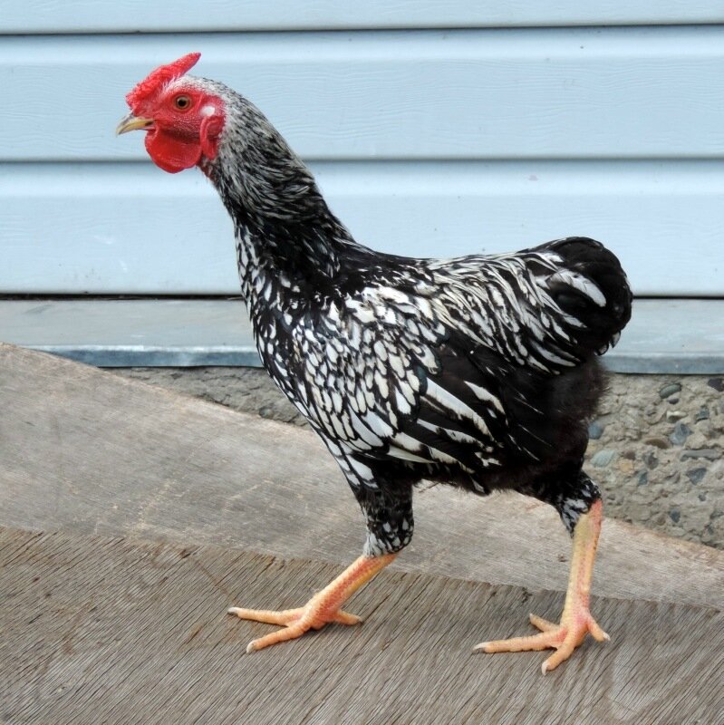 26 августа 2013