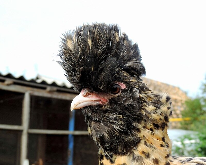 Сентябрь 2013