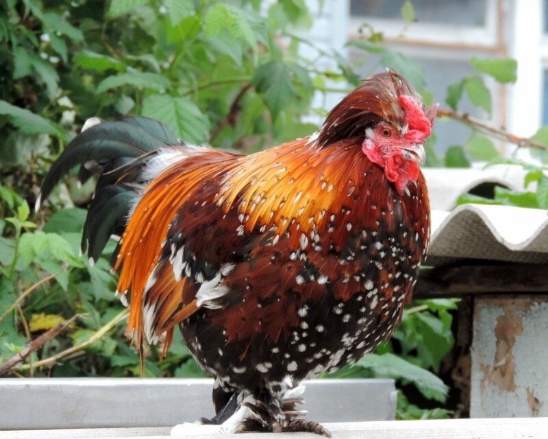 Сентябрь 2013