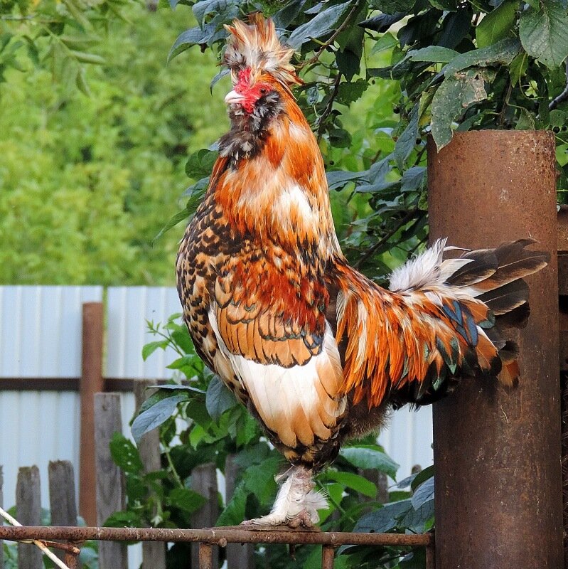 Сентябрь 2013