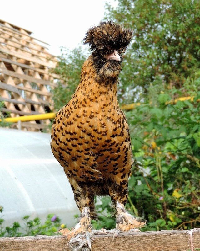 Сентябрь 2013