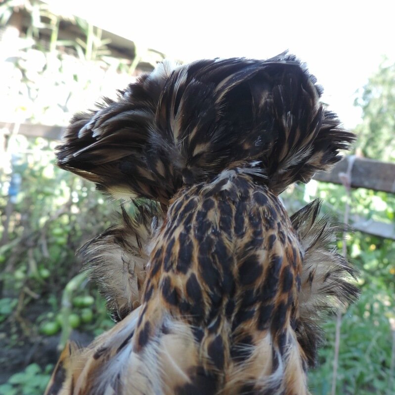 22 АВГУСТА 2013