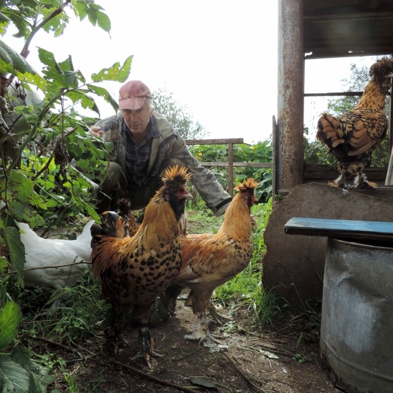 Сентябрь 2013