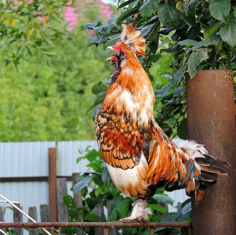 Сентябрь 2013