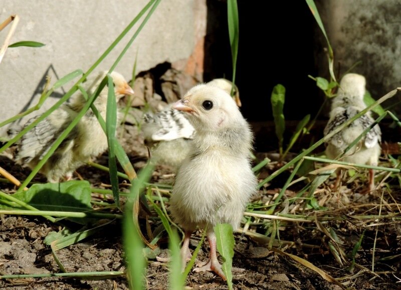 22 АВГУСТА 2013