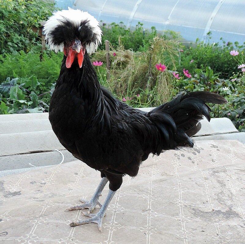 26 августа 2013