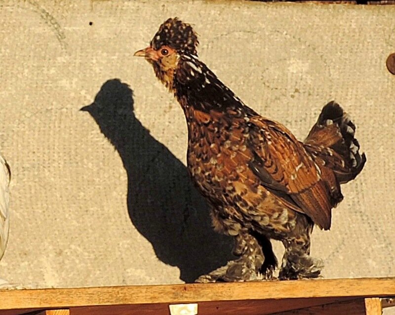 20 октября 2013