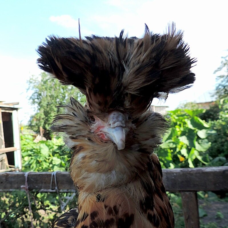 22 АВГУСТА 2013