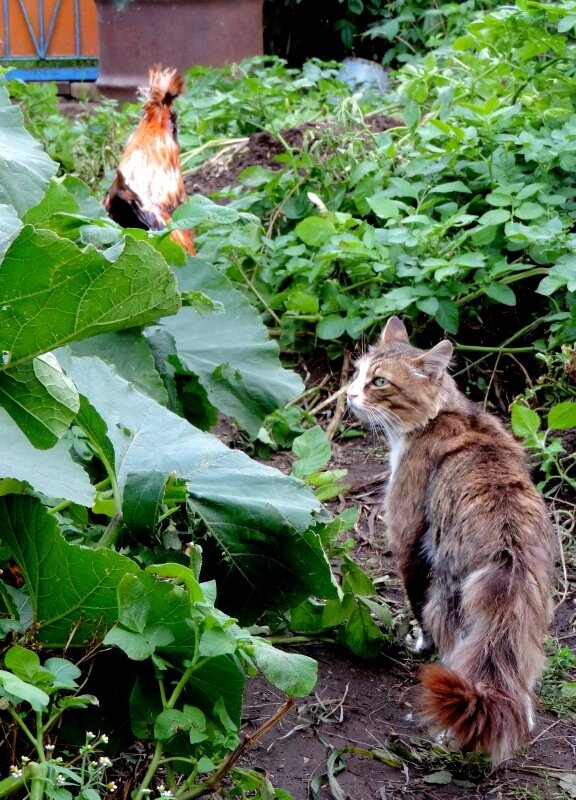 Сентябрь 2013