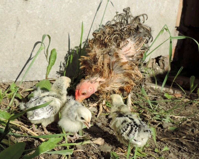 22 АВГУСТА 2013