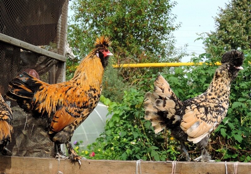 Сентябрь 2013