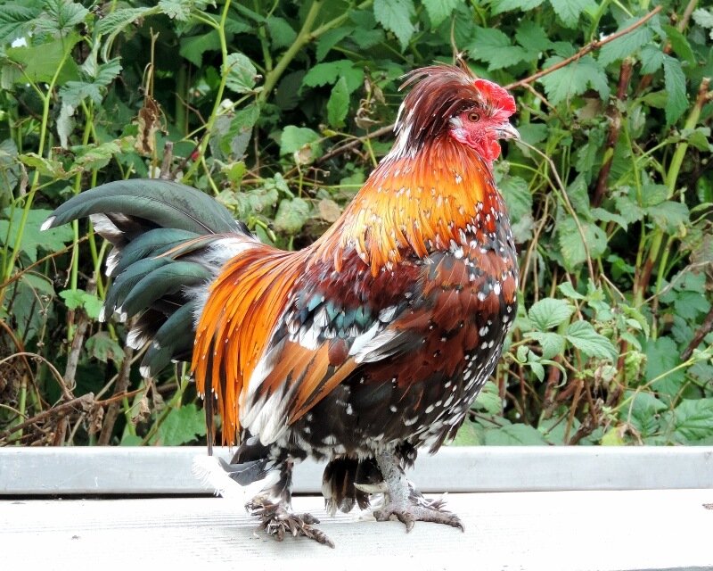 Сентябрь 2013