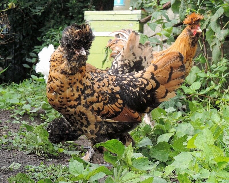 Сентябрь 2013