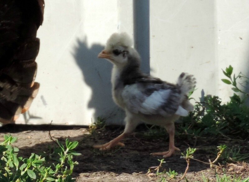 22 АВГУСТА 2013