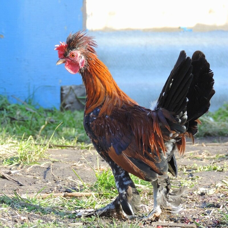 19 октября 2013