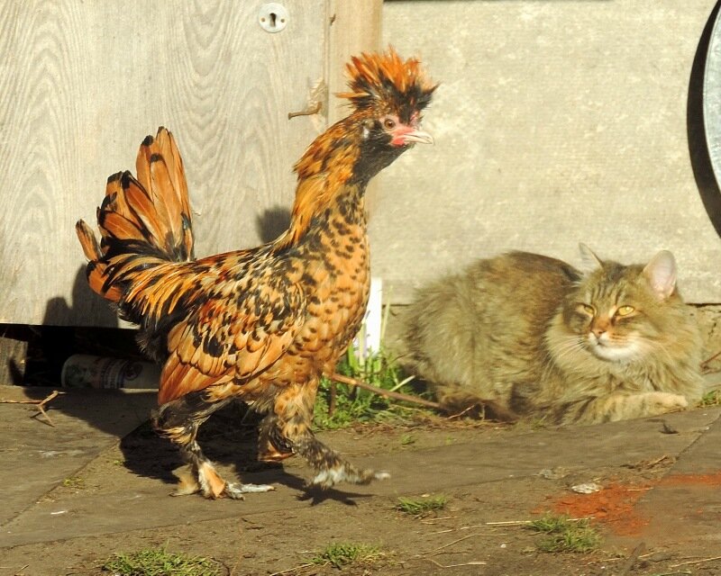 19 октября 2013