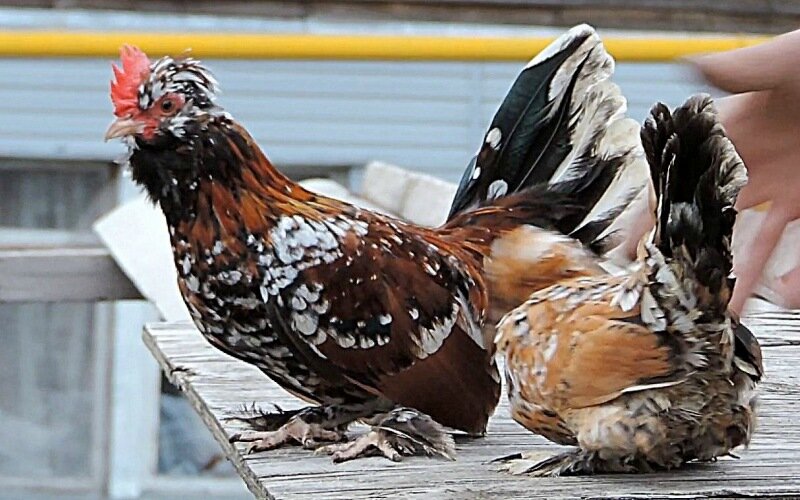 7 октября 2013